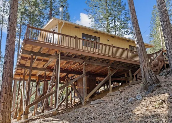 Big Trees, Little Cabin