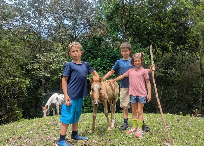 Casabravaventura Jungle Ecofarm