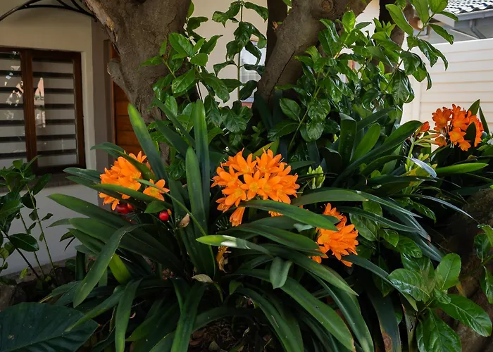Neapolitan Guesthouse