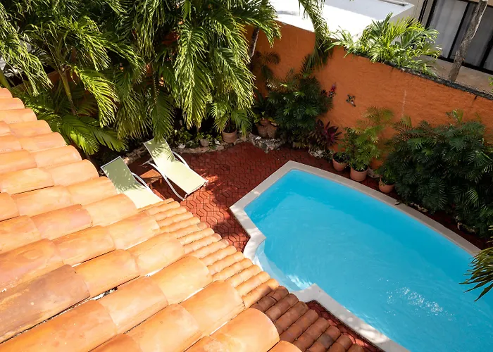 Casa Mulder - Steps To Beach Private Pool Ocean-View Roof