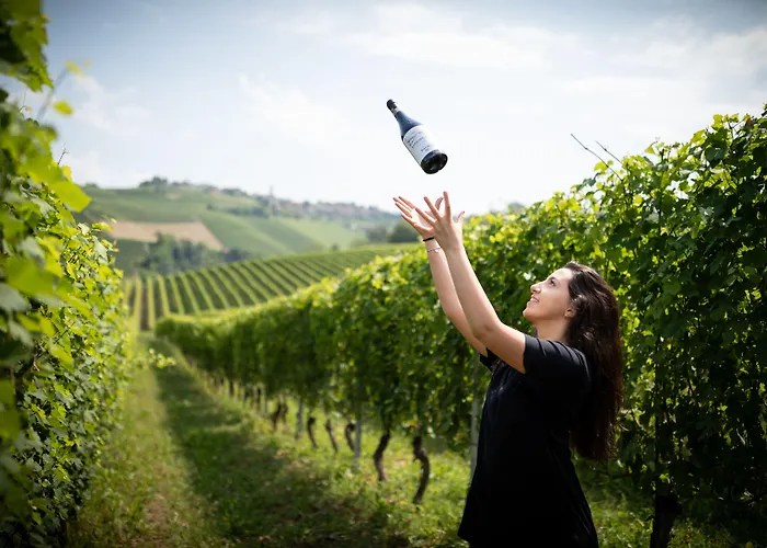 Tenuta Barac