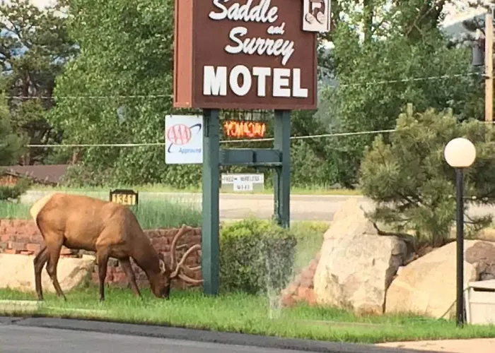 Saddle & Surrey Motel