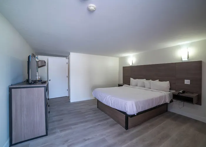 Viking Shores Motor Inn