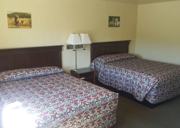 Safari Inn Motel