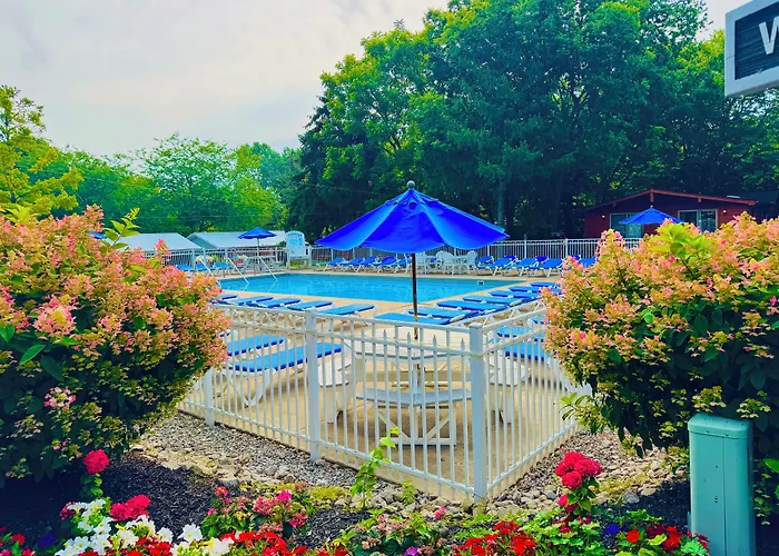 Island Club Rentals
