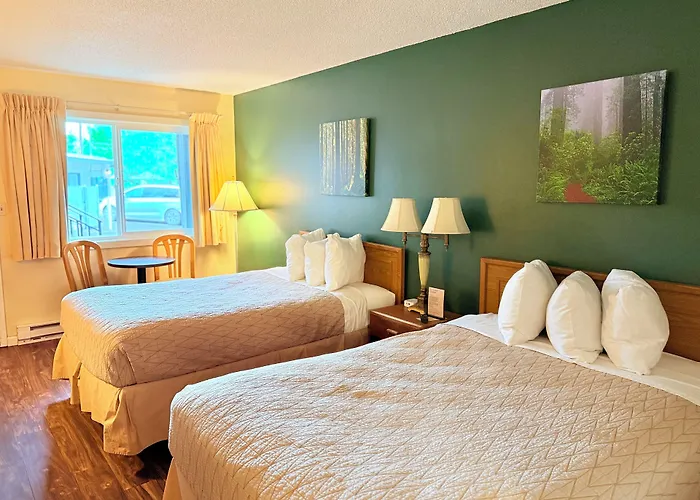 Timbers Inn And Suites