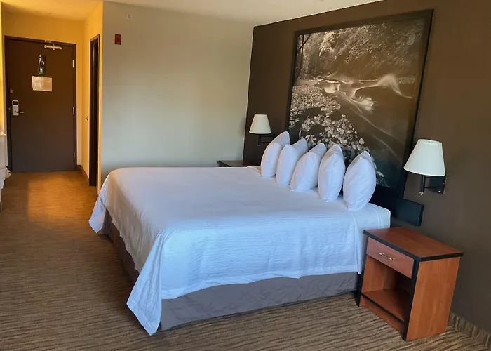 Super 8 By Wyndham Colorado Springs Airport