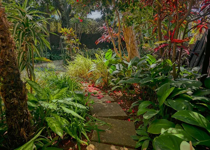 Oliveroom Self Catering And B&B