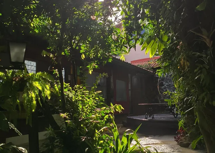 Aratinga Inn