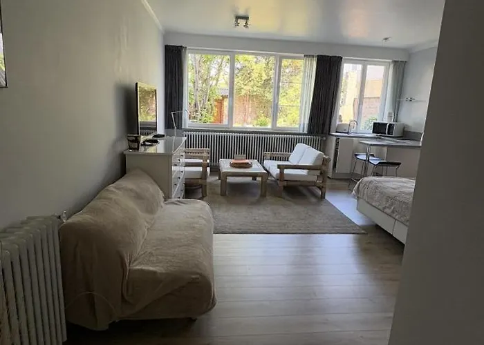 Spacious Studio
