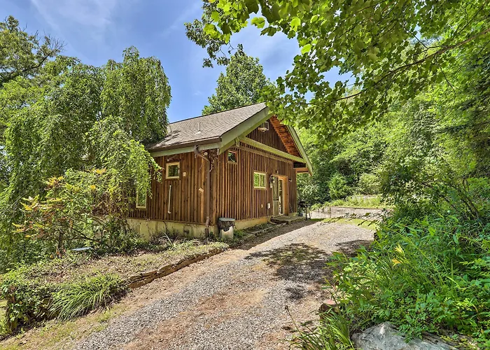 Pet-Friendly Leicester/Asheville Mtn View Escape