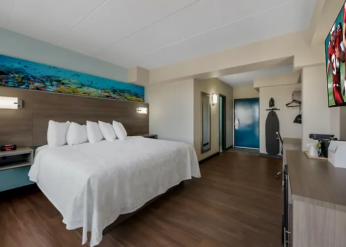 Red Roof Inn Plus & Suites Virginia Beach - Seaside