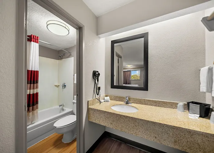Red Roof Inn Dallas - Dfw Airport North