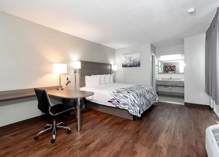 Red Roof Inn Petersburg - Fort Lee