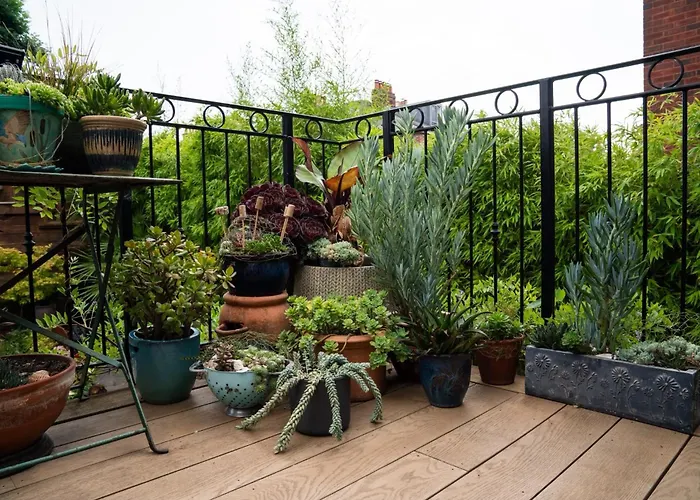 The Greenhouse