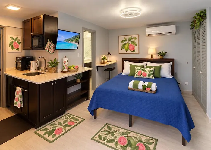 Labellevue Antigua Oceanview Suites And Onsite Car Rentals
