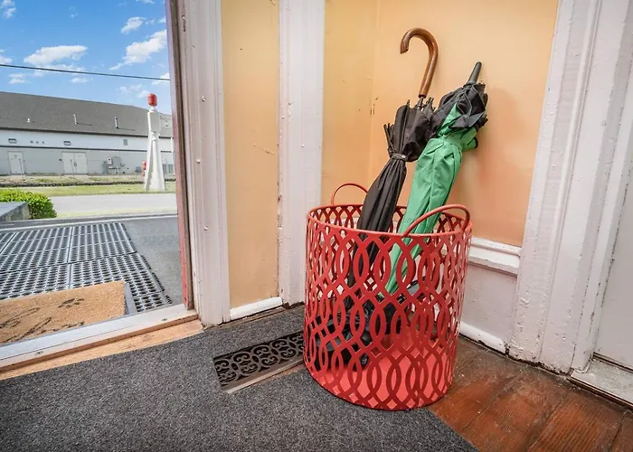 Beautiful Downstairs 1Bed 1Bth Charmer- Pet Friendly