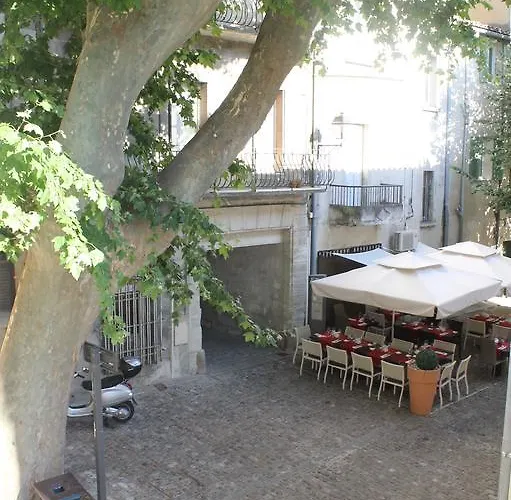 Studios Entre Le Pont D'Avignon Et Le Palais Des Papes - Ac Clim Parking