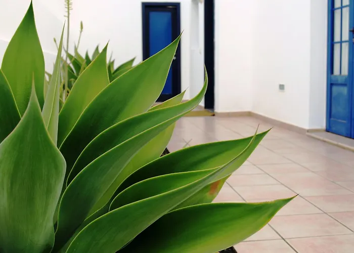 Villas Puerto Rubicon