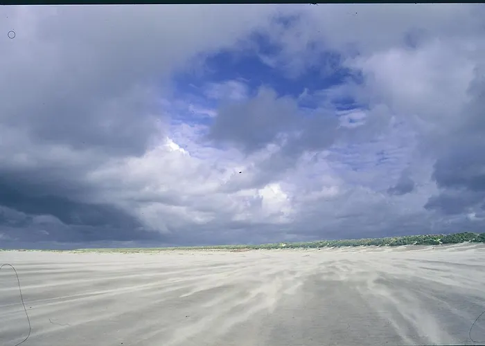 Dune Bep