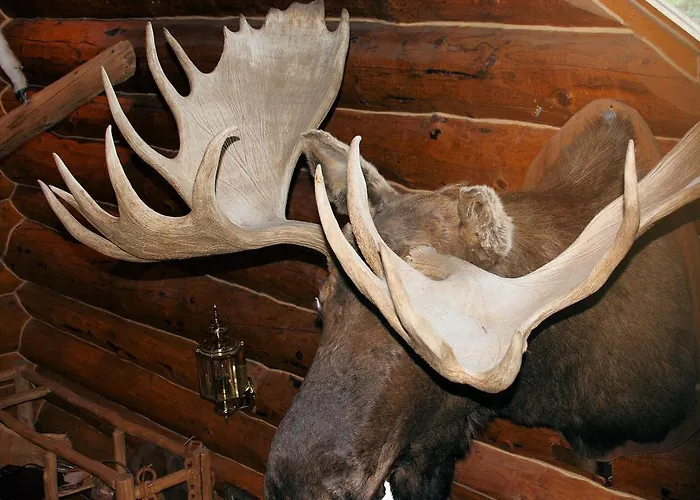 Wise Old Hunter Lodge