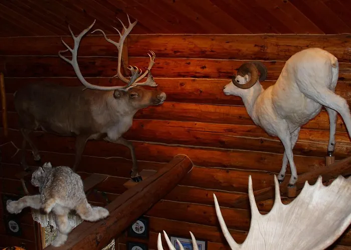 Wise Old Hunter Lodge
