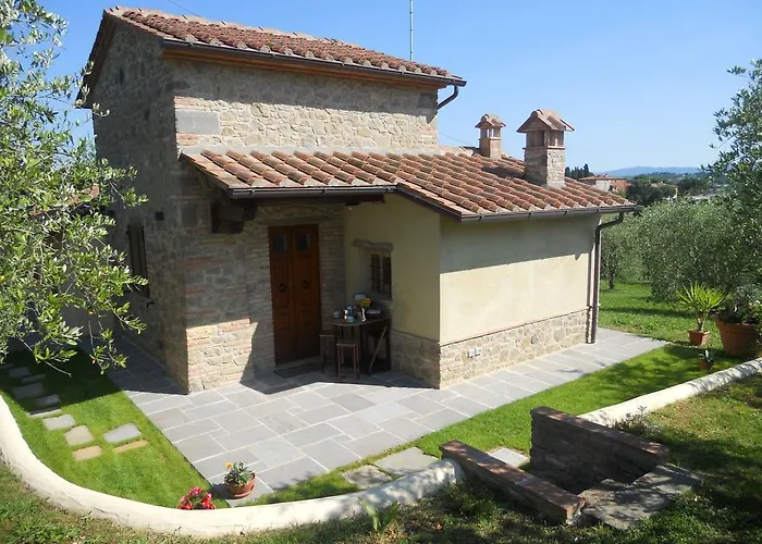 Selva Degli Ulivi