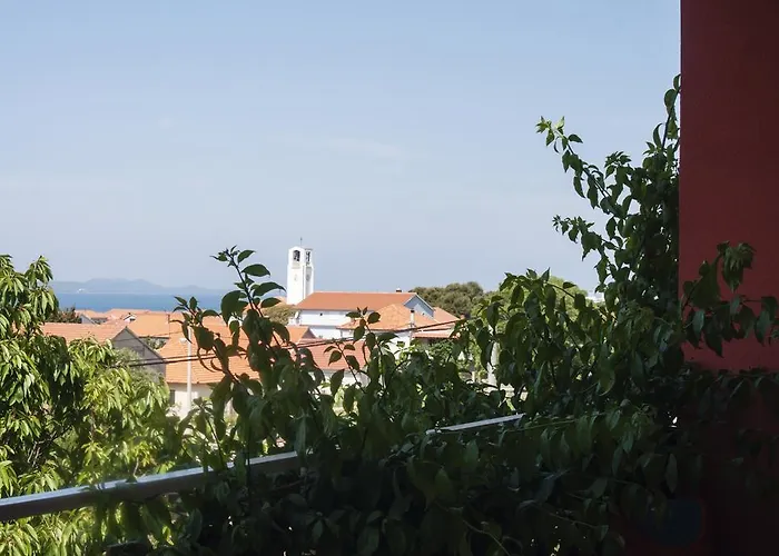 Apartment Goga