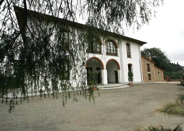 Bacco A Petroio