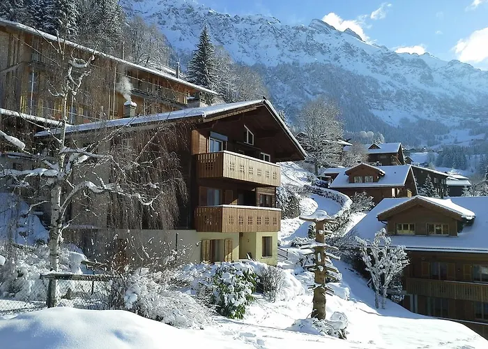 Chalet Gerbera