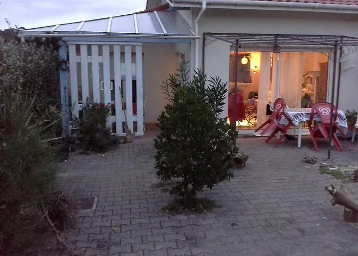 Tiny House Et Chambre Chez L Habitant