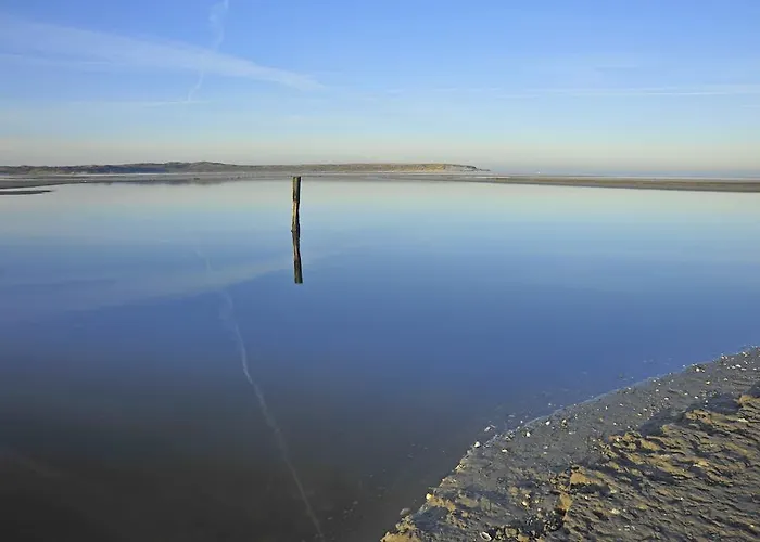 Witte Weelde Texel