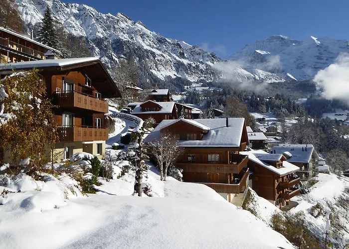 Chalet Gerbera
