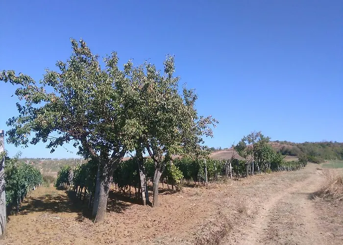 Casa Ai Carfini
