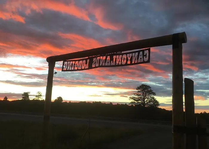 Lupine Cabin, Glamour Camping, Stunning Skies And Sunrise Views