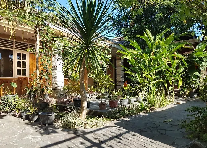 Omah Konco Yogyakarta