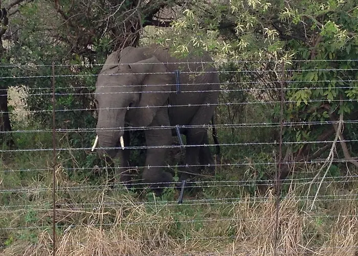 Villa Too Kruger Lodge