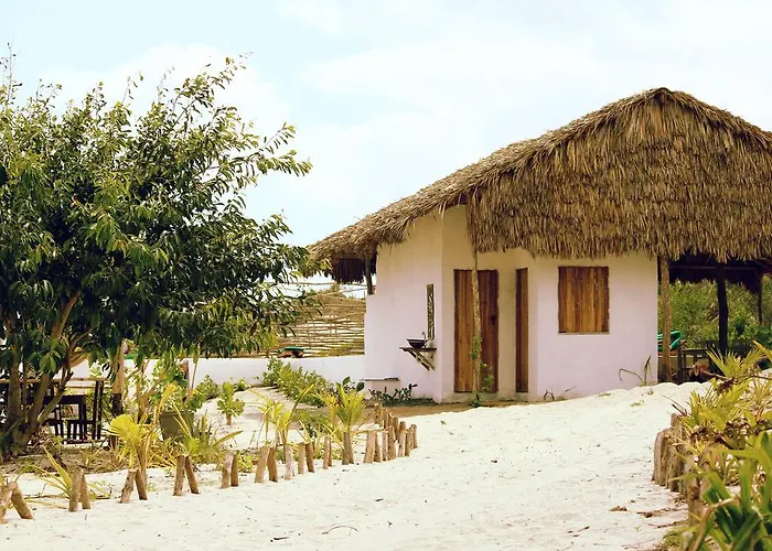 Eco Kite Dunas