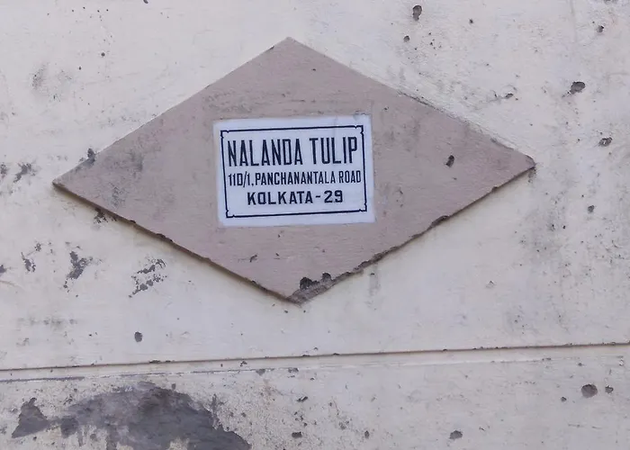 Nalanda Tulip