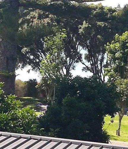 Pukeko On Bay