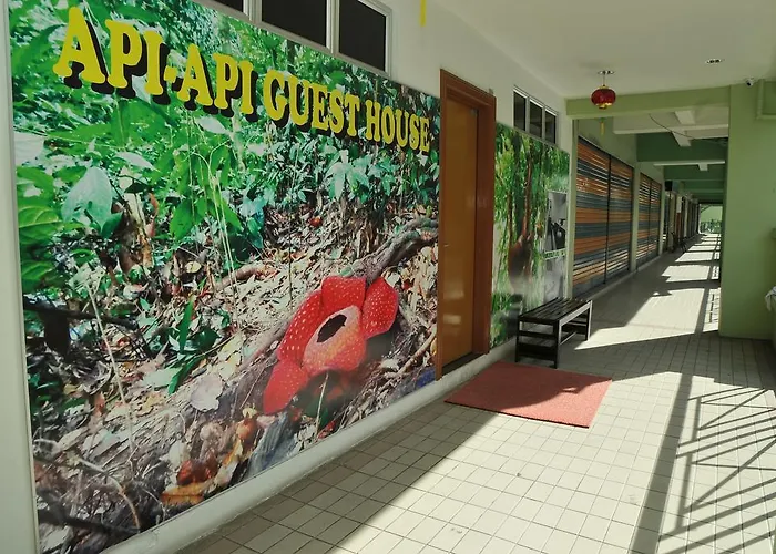 Api-Api Guesthouse