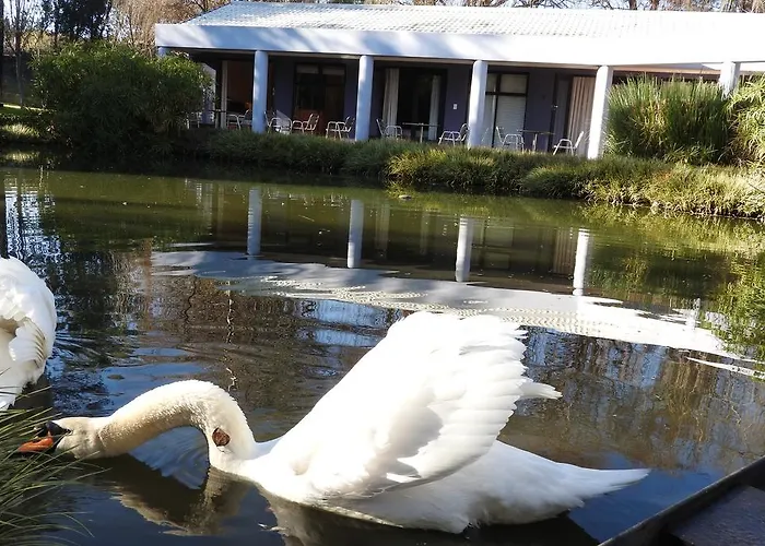 Willow Place Guest House
