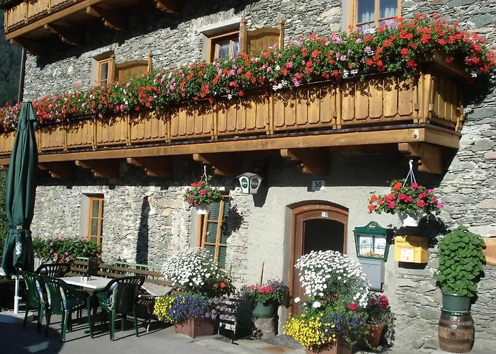 Gaestehaus Taner