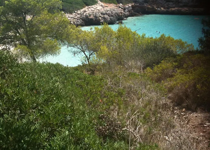 Finca Son Blat