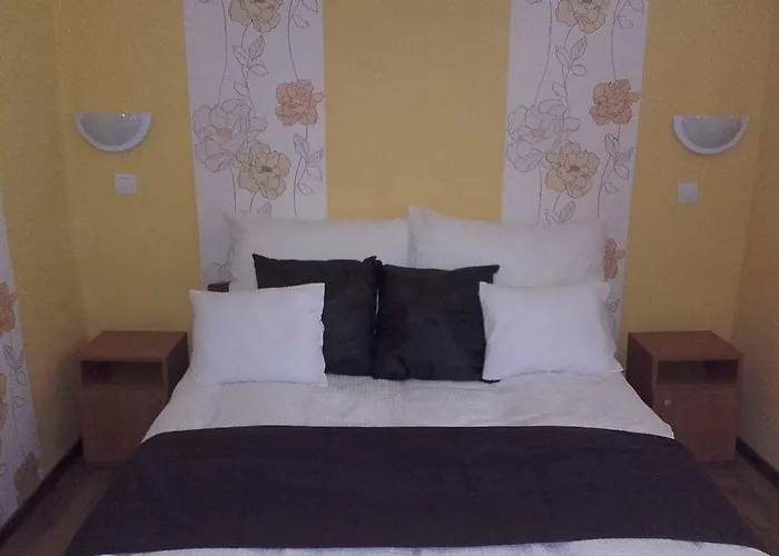 Reka Vendeghaz