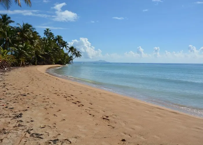 Crescent Cove 87 At Palmas