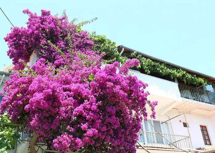 Rose Pension