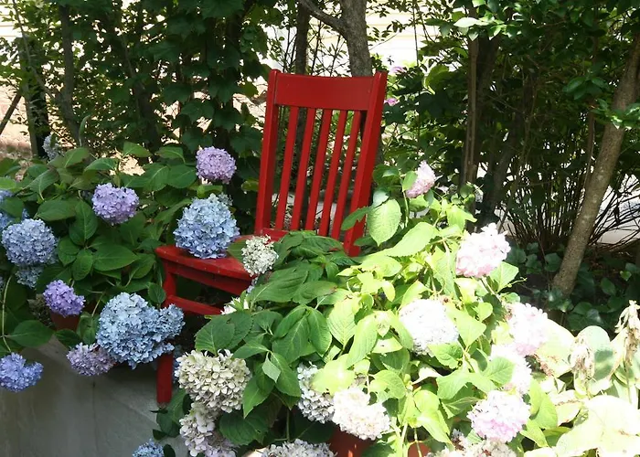 Hydrangea House Inn
