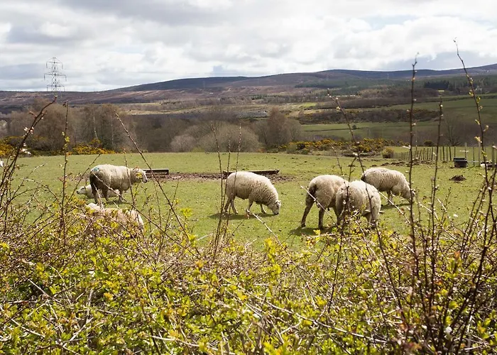 Leanach Farm