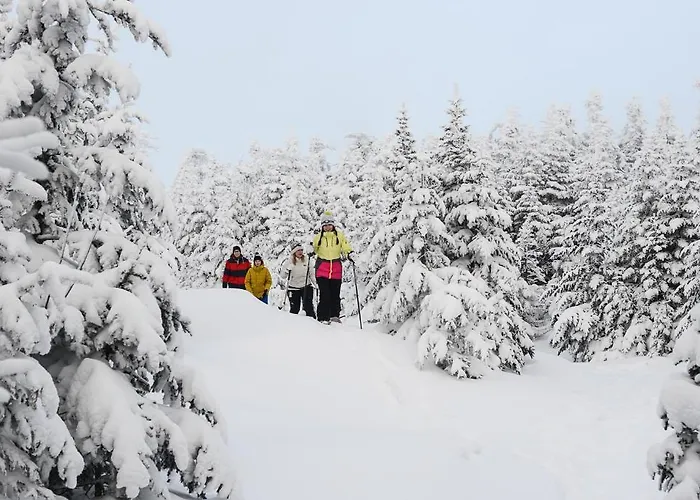 Vantage Point Villas At Stratton Mountain Resort
